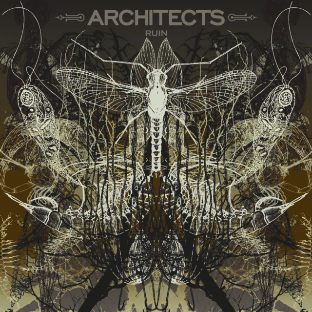 ARCHITECTS - RUIN (LIMITED/PICTURE DISC) (Vinyl LP)