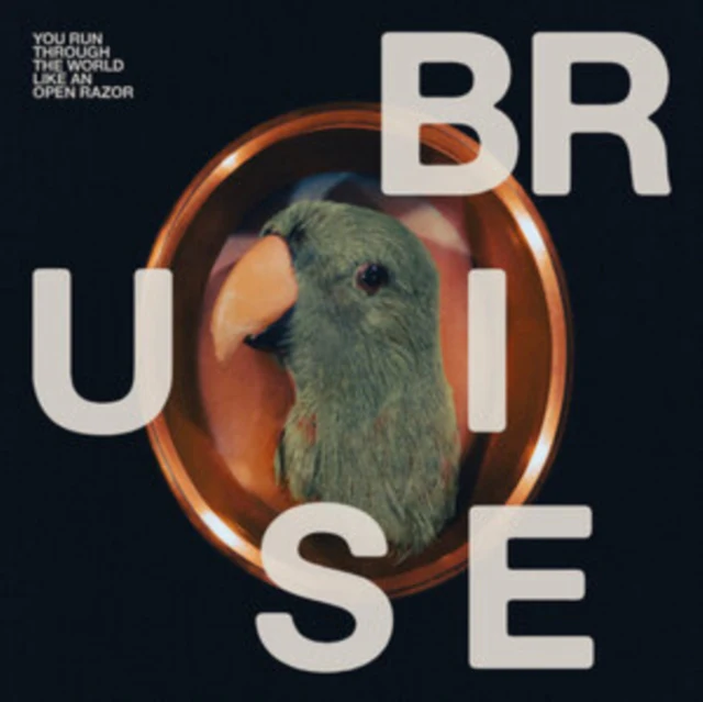 BRUISE BLOOD - YOU RUN THROUGH THE WORLD LIKE AN OPEN RAZOR (Vinyl LP)