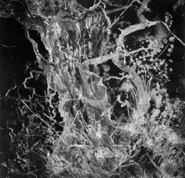 BRUIT - MONOLITH (Music CD)