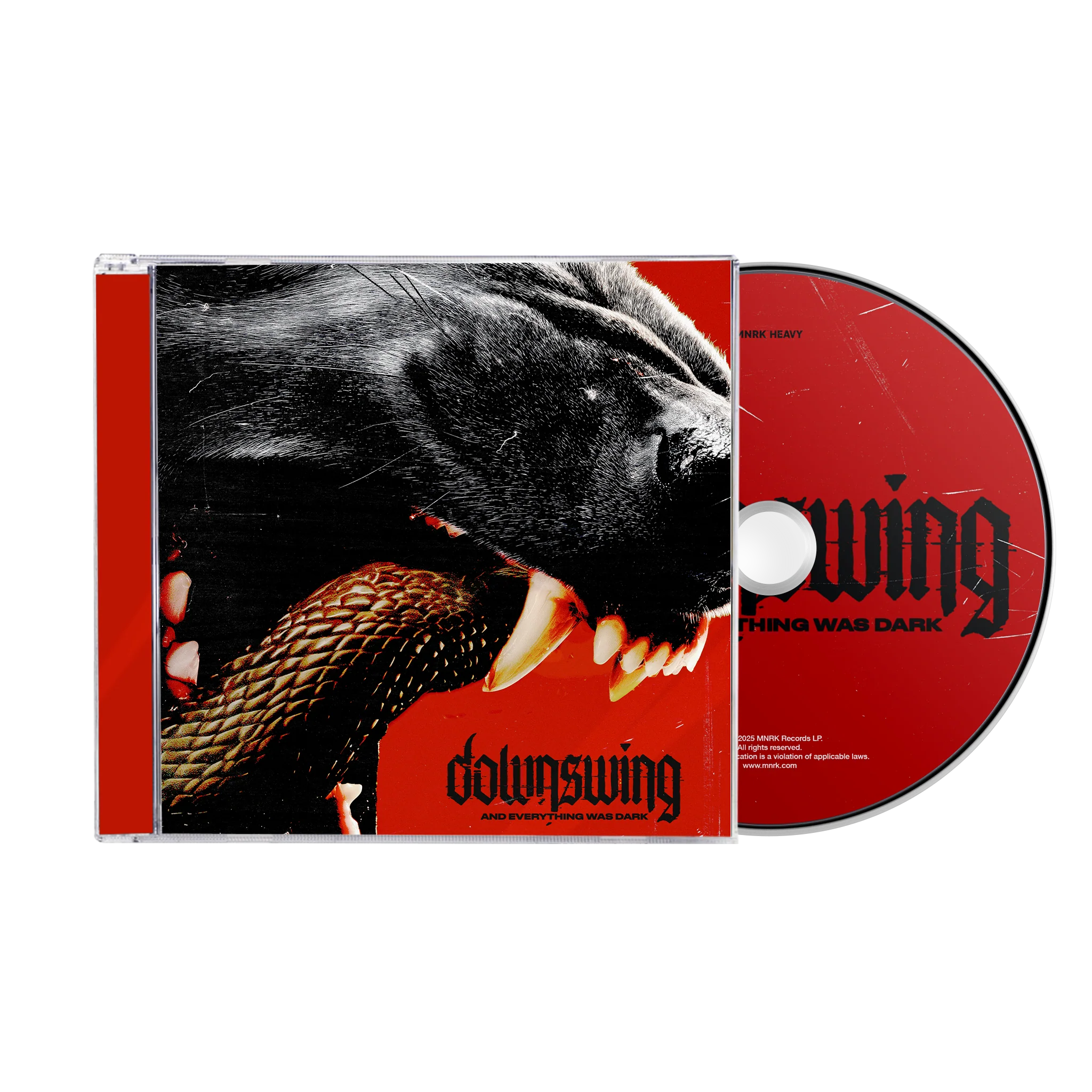 Downswing - And Everything Was Dark CD