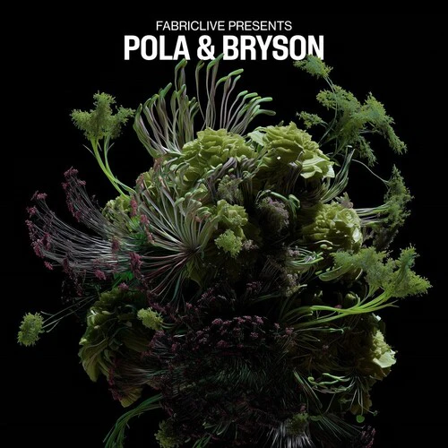 FABRICLIVE PRESENTS POLA & BRYSON (2LP) (Vinyl LP)