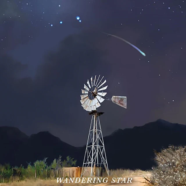 FLATLAND CAVALRY - WANDERING STAR (STANDARD DARK WATER/BLACK SWIRL VINYL LP)
