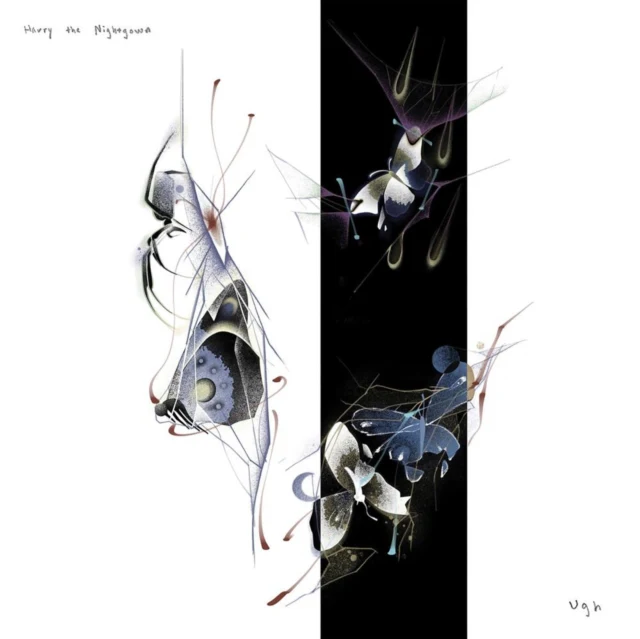 HARRY THE NIGHTGOWN - UGH (Vinyl LP)