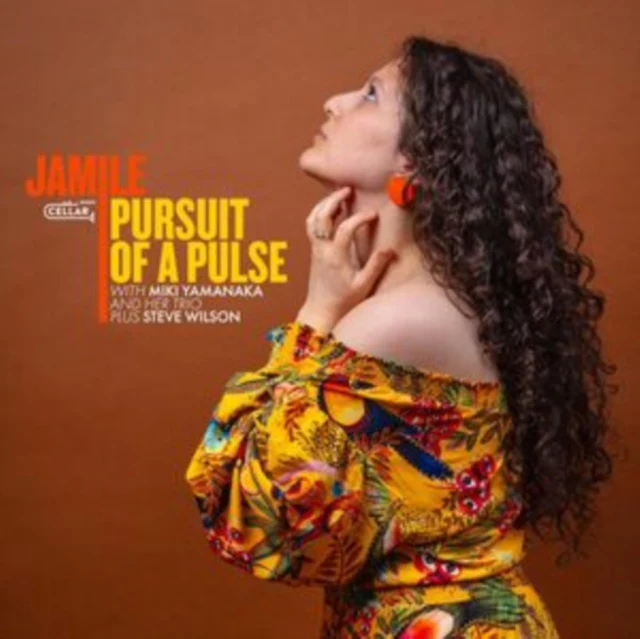 JAMILE & MIKI YAMANAKA & STEVE WILSON - PURSUIT OF A PULSE (Vinyl LP)