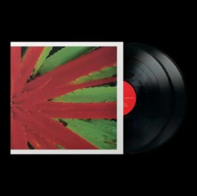 JEJUNE - THIS AFTERNOONS MALADY (2LP) (Vinyl LP)