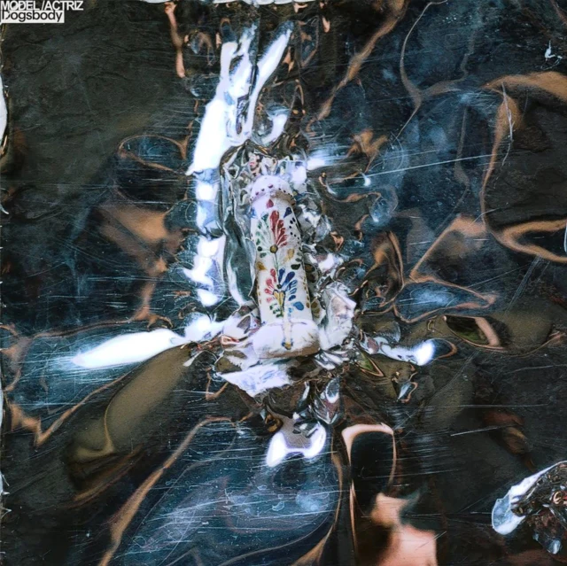 MODEL & ACTRIZ - DOGSBODY (Vinyl LP)