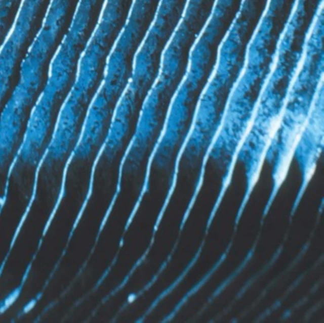 MONOLAKE - GRAVITY (2LP) (Vinyl LP)