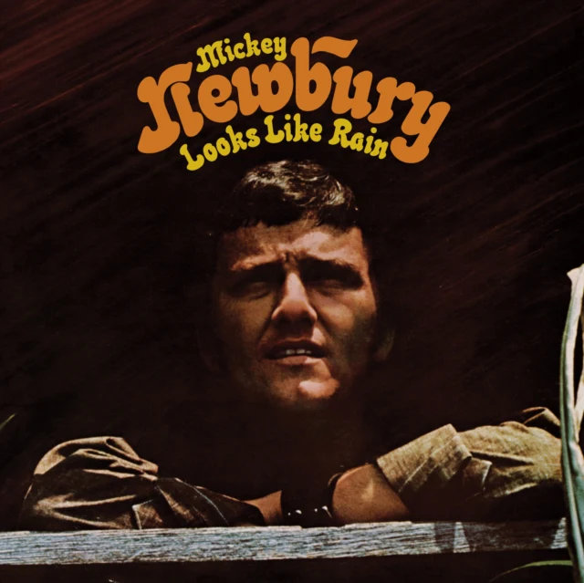 NEWBURY,MICKEY - LOOKS LIKE RAIN (Vinyl LP)