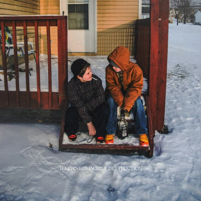 PLOT IN YOU, THE - HAPPINESS IN SELF DESTRUCTION (2LP/10 YEAR ANNIVERSARY) (Vinyl LP)