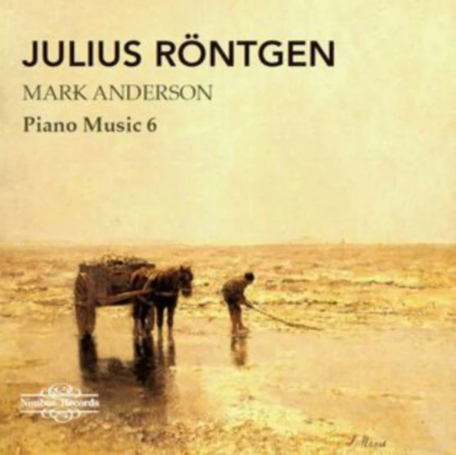 RONTGEN - JULIUS RONTGEN: PIANO MUSIC VOL. 6 (Music CD)