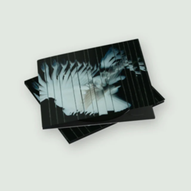 SCALER - ENDLESSLY (Music CD)
