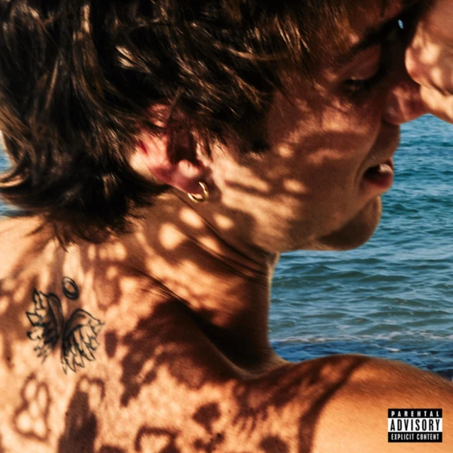 SEAVEY,DANIEL - SECOND WIND (X) (Vinyl LP)