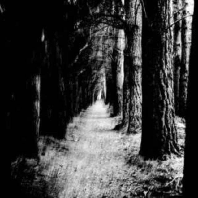 STRAY THEORIES - FALTER (Vinyl LP)