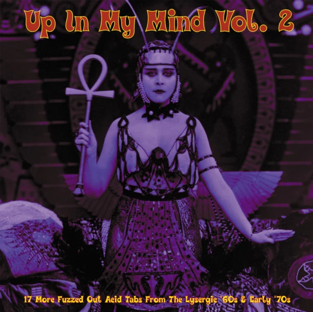 VARIOUS ARTISTS - UP IN MY MIND VOL. 2: 17 MORE FUZZED OUT ACID TABS FROM THE LYSER (Vinyl LP)