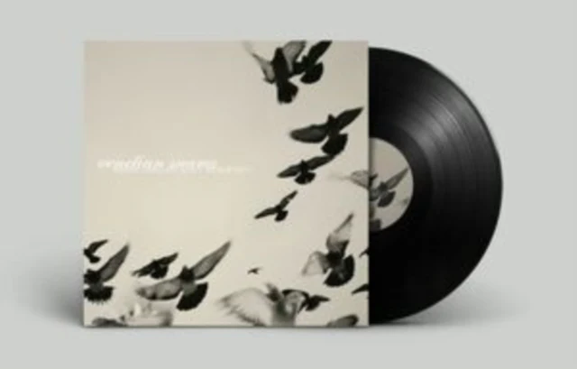 VENETIAN SNARES - ROSSZ CSILLAG ALATT SZULETETT (2LP) (Vinyl LP)