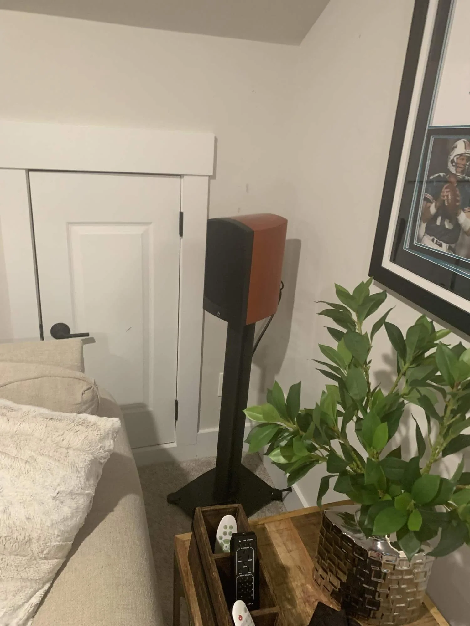 Verus V5B Bookshelf Speakers | Pair - Image 14
