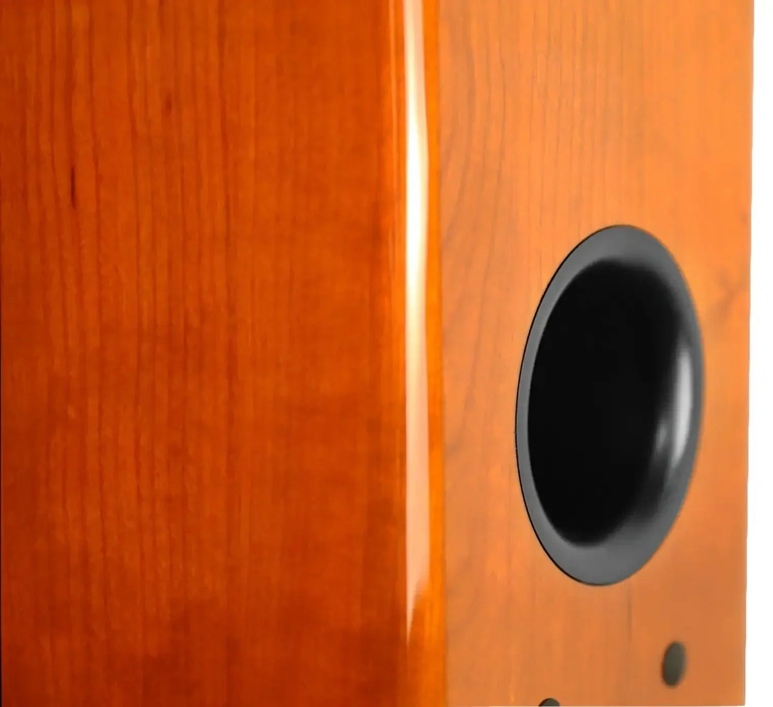 Verus V8B Bookshelf Speaker Pair - Image 14