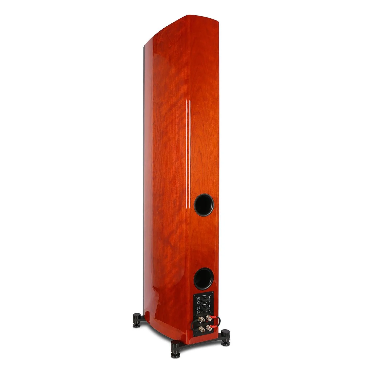Verus V8T 8 Inch Tower Speakers - Image 8