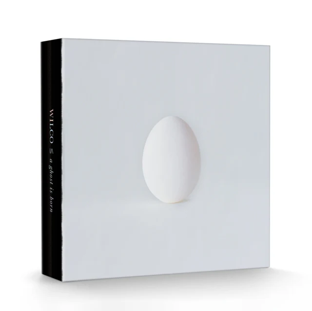 WILCO - GHOST IS BORN (DELUXE/9LP/4CD BOX SET) (Vinyl LP)