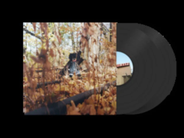 WOODS,BILLY - GOLLIWOG (2LP) (Vinyl LP)